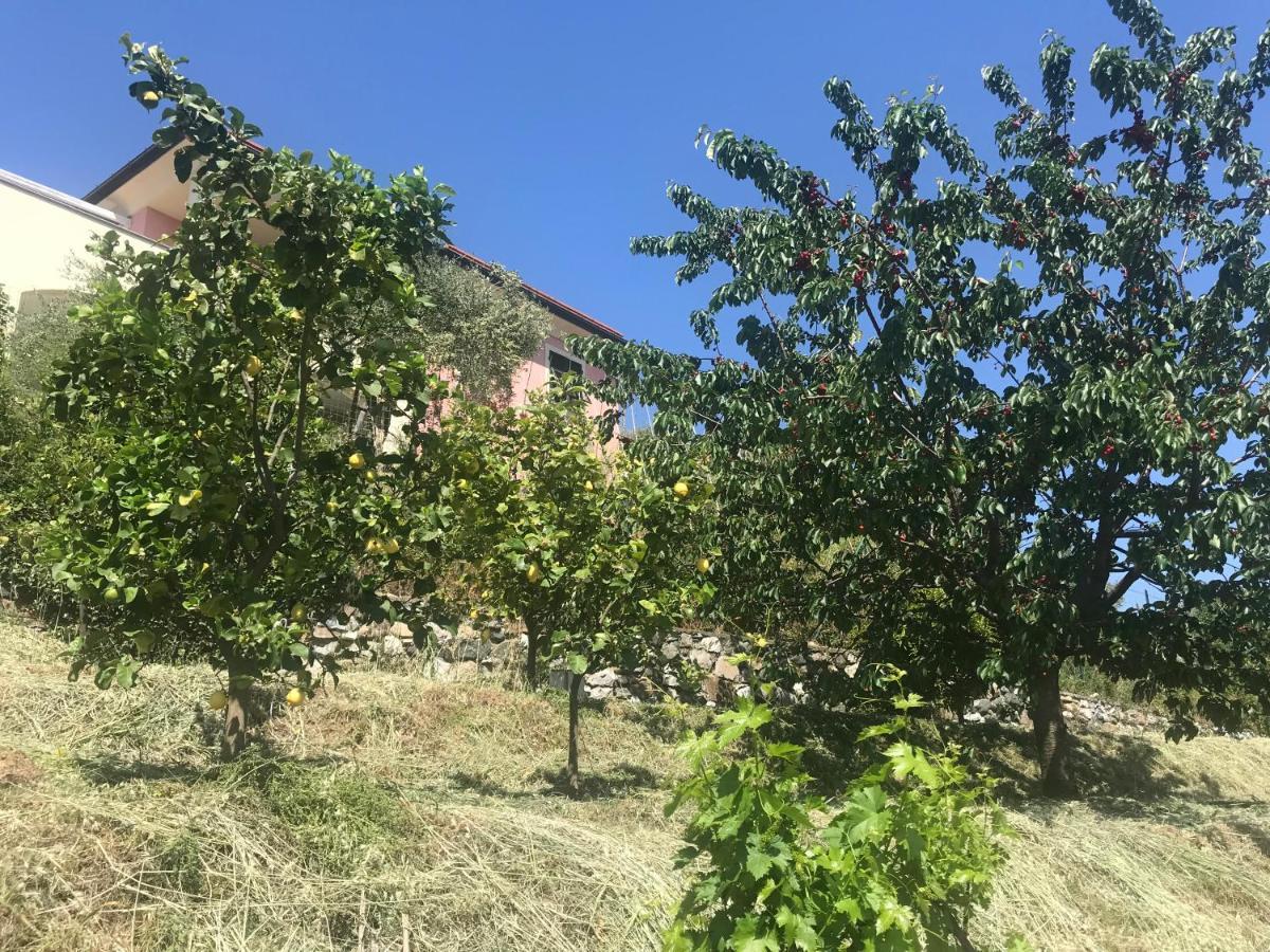 Villa Teresa Казарца Лигуре Екстериор снимка