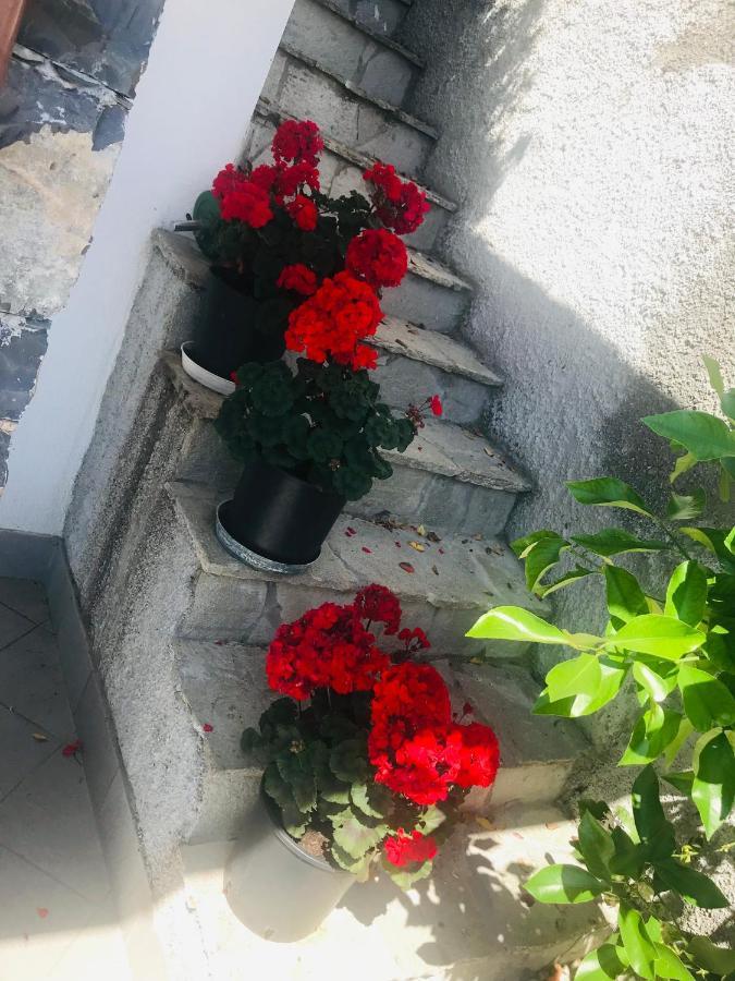 Villa Teresa Казарца Лигуре Екстериор снимка